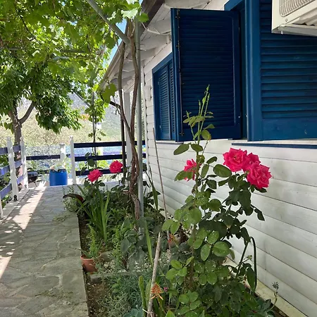 Elvi Apartment
